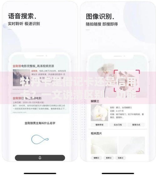 牡丹卡是借记卡还是信用卡？一文说清区别、功能及使用场景