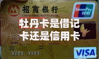 牡丹卡是借记卡还是信用卡？一文说清区别、功能及使用场景
