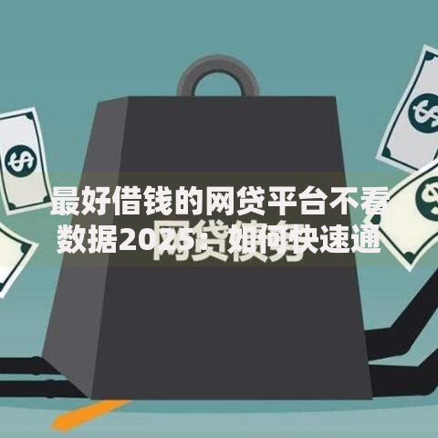 最好借钱的网贷平台不看数据2025：如何快速通过审核？