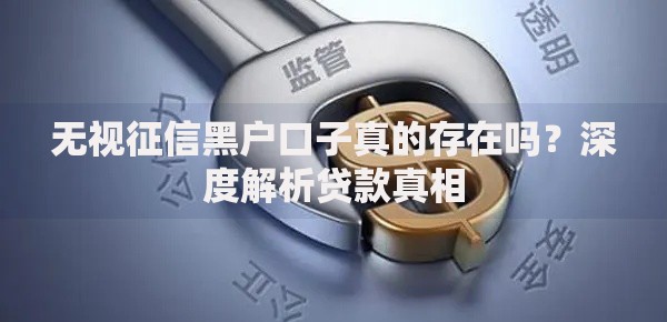 无视征信黑户口子真的存在吗？深度解析贷款真相