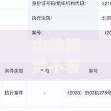 中级租赁不看征信吗？资质审核与融资方案解析