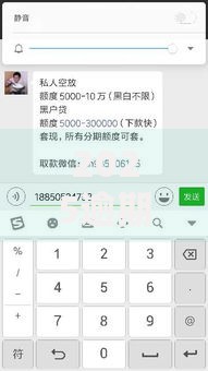 2025逾期黑户能下款的网贷有哪些平台可申请？