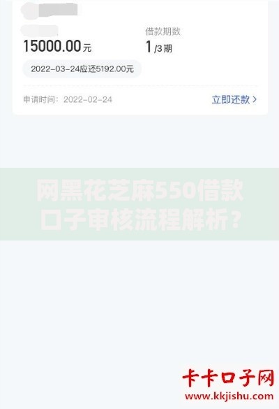 网黑花芝麻550借款口子审核流程解析？如何正确申请