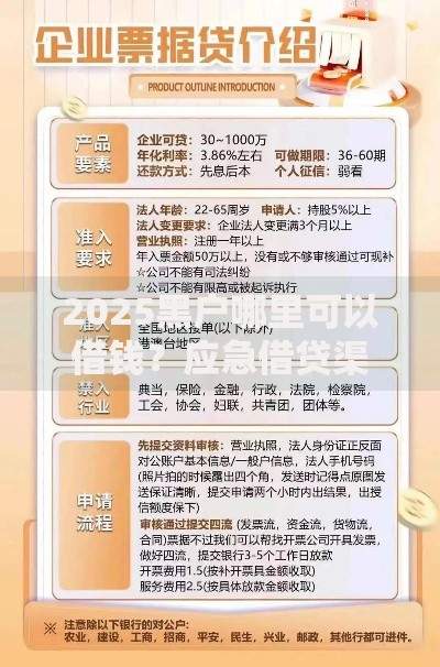 2025黑户哪里可以借钱?应急借贷渠道与风险解析 2025黑户哪里可以借钱?应急借贷渠道与风险解析