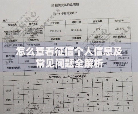 怎么查看征信个人信息及常见问题全解析