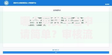 哪个网贷平台申请简单？审核流程与平台解析