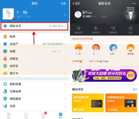 支付宝守护包的钱怎么取出来？详细步骤与注意事项分享
