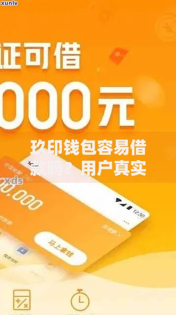 玖印钱包容易借款吗？用户真实体验与申请流程解析