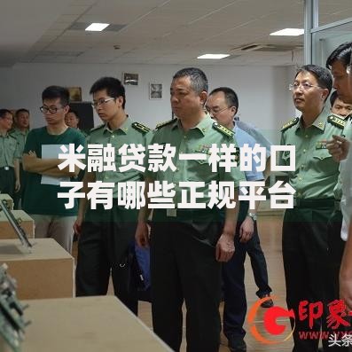 米融贷款一样的口子有哪些正规平台？深度解析贷款渠道选择