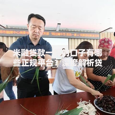 米融贷款一样的口子有哪些正规平台？深度解析贷款渠道选择