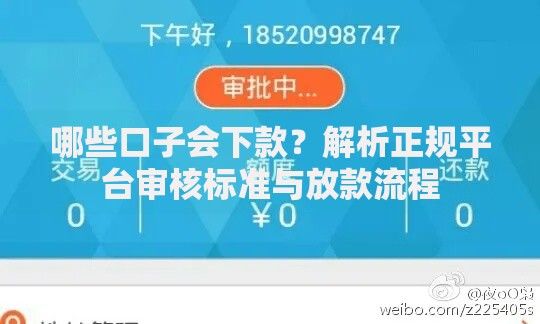 哪些口子会下款？解析正规平台审核标准与放款流程