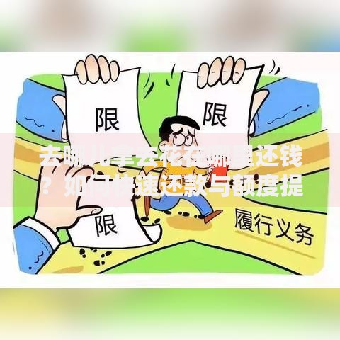 去哪儿拿去花在哪里还钱？如何快速还款与额度提升攻略