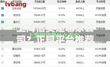 上海借贷是哪家公司？正规平台推荐及避坑指南