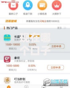 现在哪个口子能借到钱？正规借款渠道深度解析