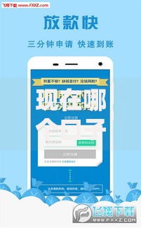 现在哪个口子能借到钱？正规借款渠道深度解析