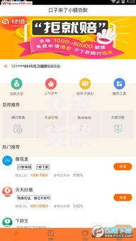 介绍贷款口子哪个好？如何选择最适合自己的平台