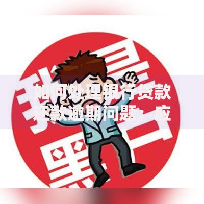 如何处理银行贷款还款逾期问题：应对策略与解决方案