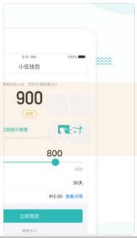 哪些小额贷款易下款？如何选择适合的借款渠道