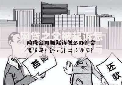 网贷之父被起诉怎么办？法律应对与行业影响解析