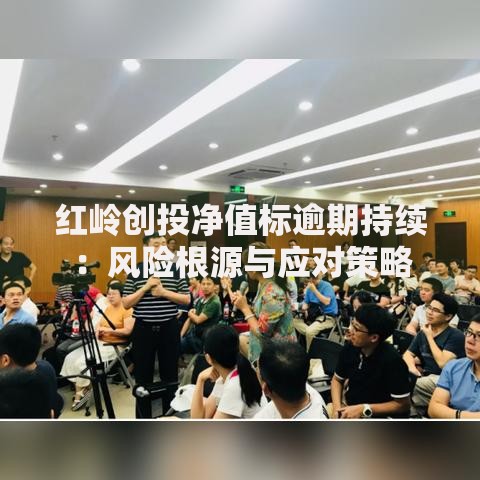 红岭创投净值标逾期持续：风险根源与应对策略
