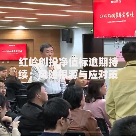 红岭创投净值标逾期持续：风险根源与应对策略