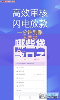 哪些贷款口子上征信？如何判断与影响解析