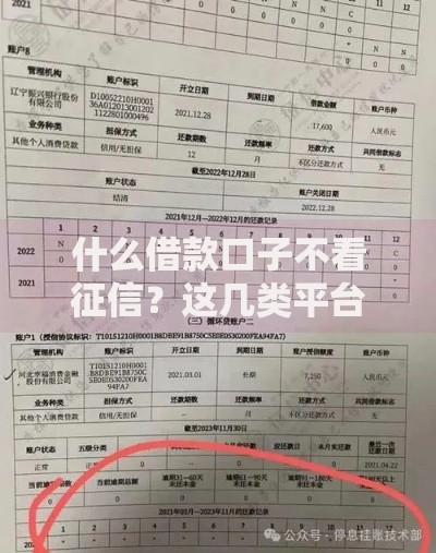 什么借款口子不看征信？这几类平台可尝试