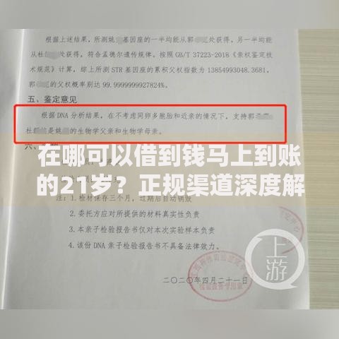 在哪可以借到钱马上到账的21岁？正规渠道深度解析