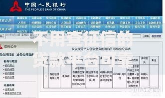 不用查征信的贷款平台可靠吗？是否存在风险？全面解析无征信贷款安全性