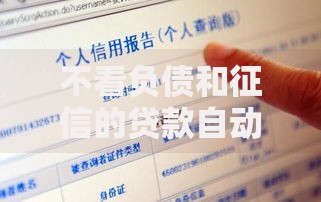 2025年不查征信的网贷新模式深度解析