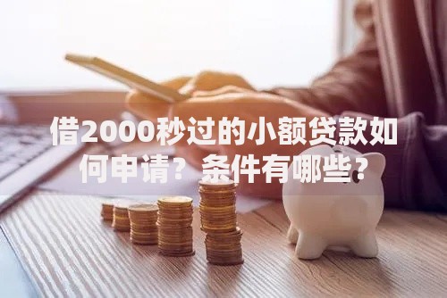 借2000秒过的小额贷款如何申请？条件有哪些？