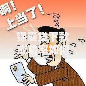 锦囊贷下款成功率如何？审核标准与技巧全解析