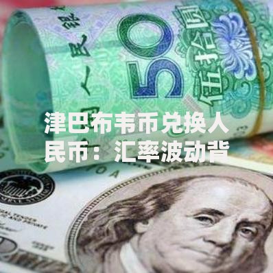 津巴布韦币兑换人民币：汇率波动背后的实用指南与经验分享