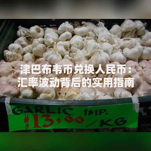 津巴布韦币兑换人民币：汇率波动背后的实用指南与经验分享