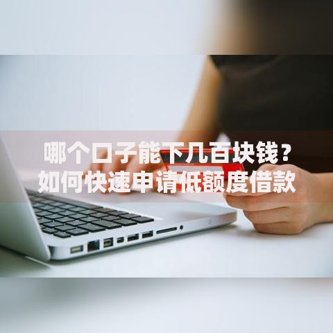 哪个口子能下几百块钱？如何快速申请低额度借款