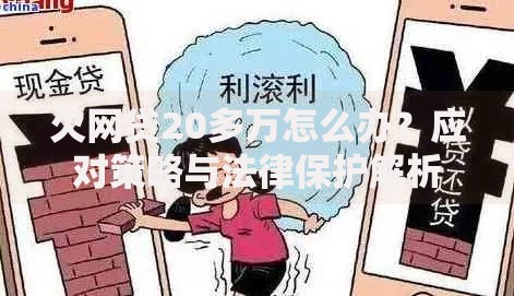 欠网贷20多万怎么办？应对策略与法律保护解析