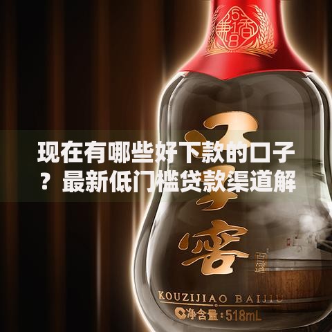 现在有哪些好下款的口子？最新低门槛贷款渠道解析