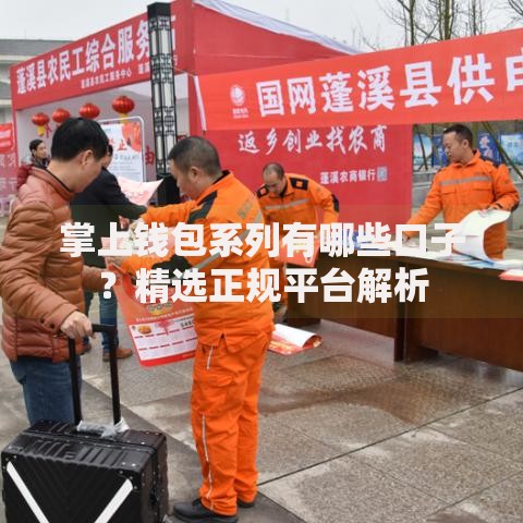 掌上钱包系列有哪些口子？精选正规平台解析