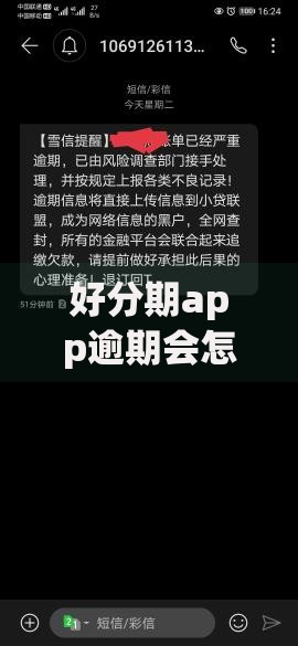 好分期app逾期会怎么样？后果严重吗？如何避免负面影响