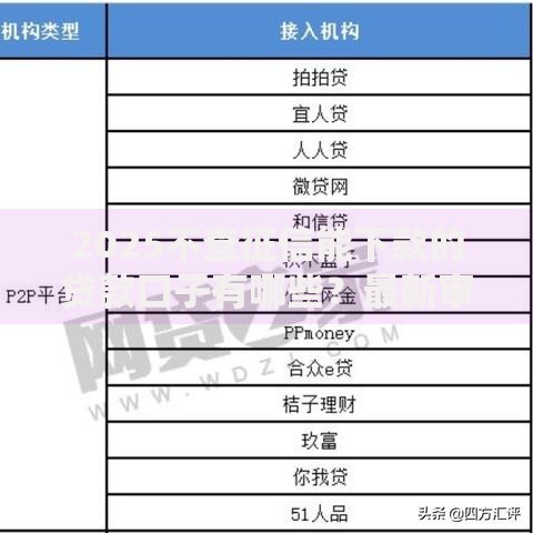 2025不查征信能下款的贷款口子有哪些？最新审核条件解析