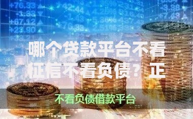 哪个贷款平台不看征信不看负债？正规渠道深度解析