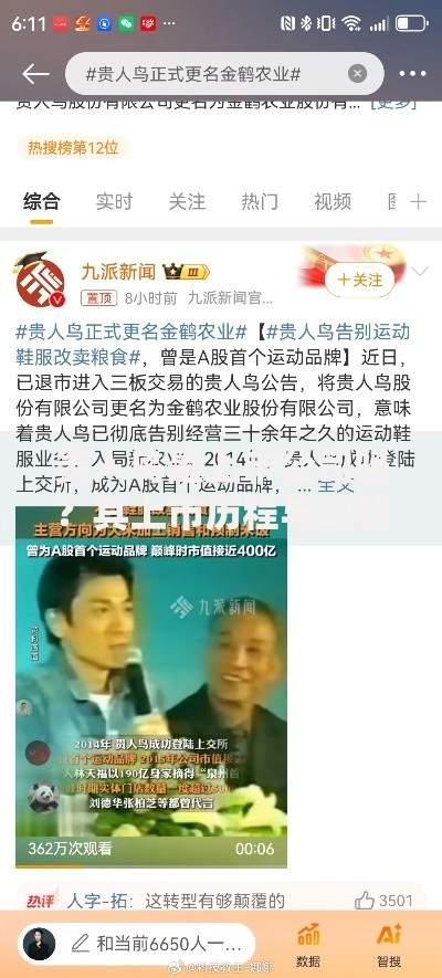 贵人鸟是上市公司吗？其上市历程与现状解析