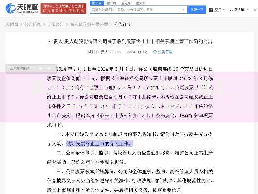 贵人鸟是上市公司吗？其上市历程与现状解析