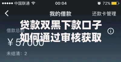 贷款双黑下款口子如何通过审核获取资金