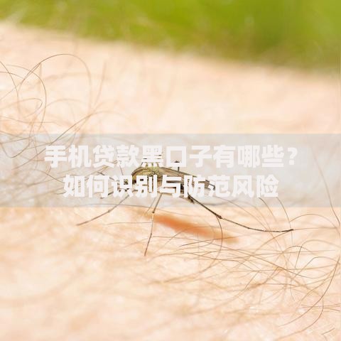 手机贷款黑口子有哪些？如何识别与防范风险