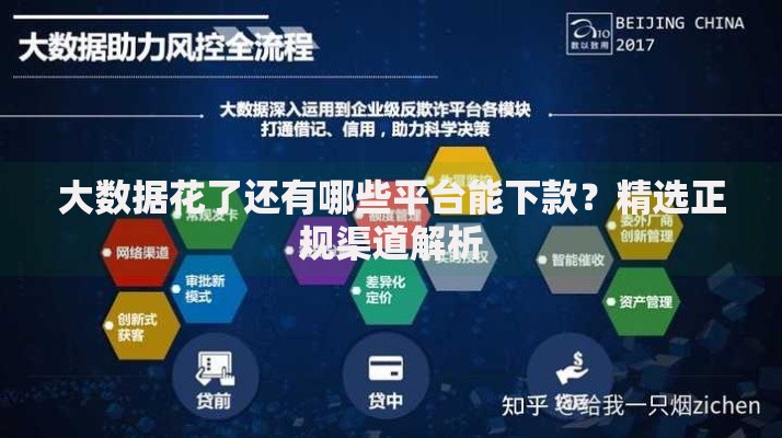 大数据花了还有哪些平台能下款？精选正规渠道解析