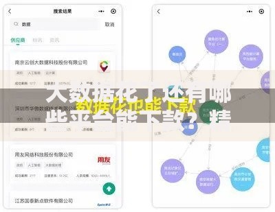 大数据花了还有哪些平台能下款？精选正规渠道解析