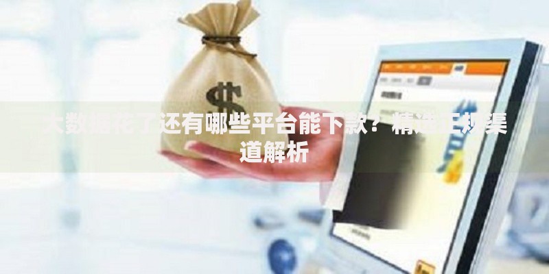 大数据花了还有哪些平台能下款？精选正规渠道解析