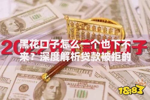 黑花口子怎么一个也下不来？深度解析贷款被拒的四大根源