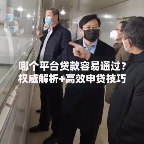 哪个平台贷款容易通过？权威解析+高效申贷技巧